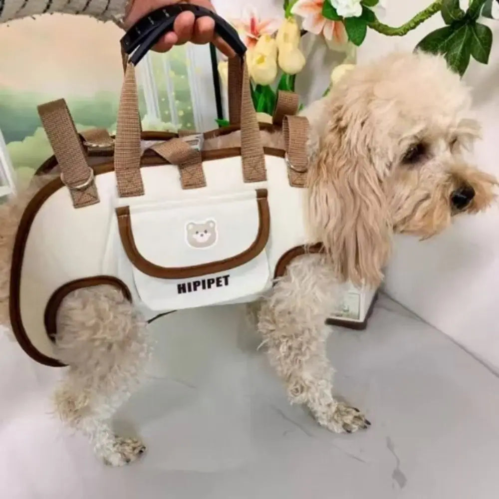 “BuddyBag Dog Backpack”