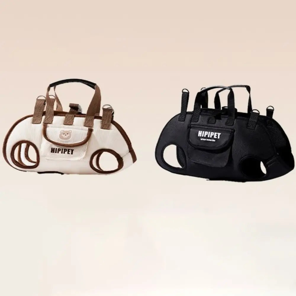 “BuddyBag Dog Backpack”