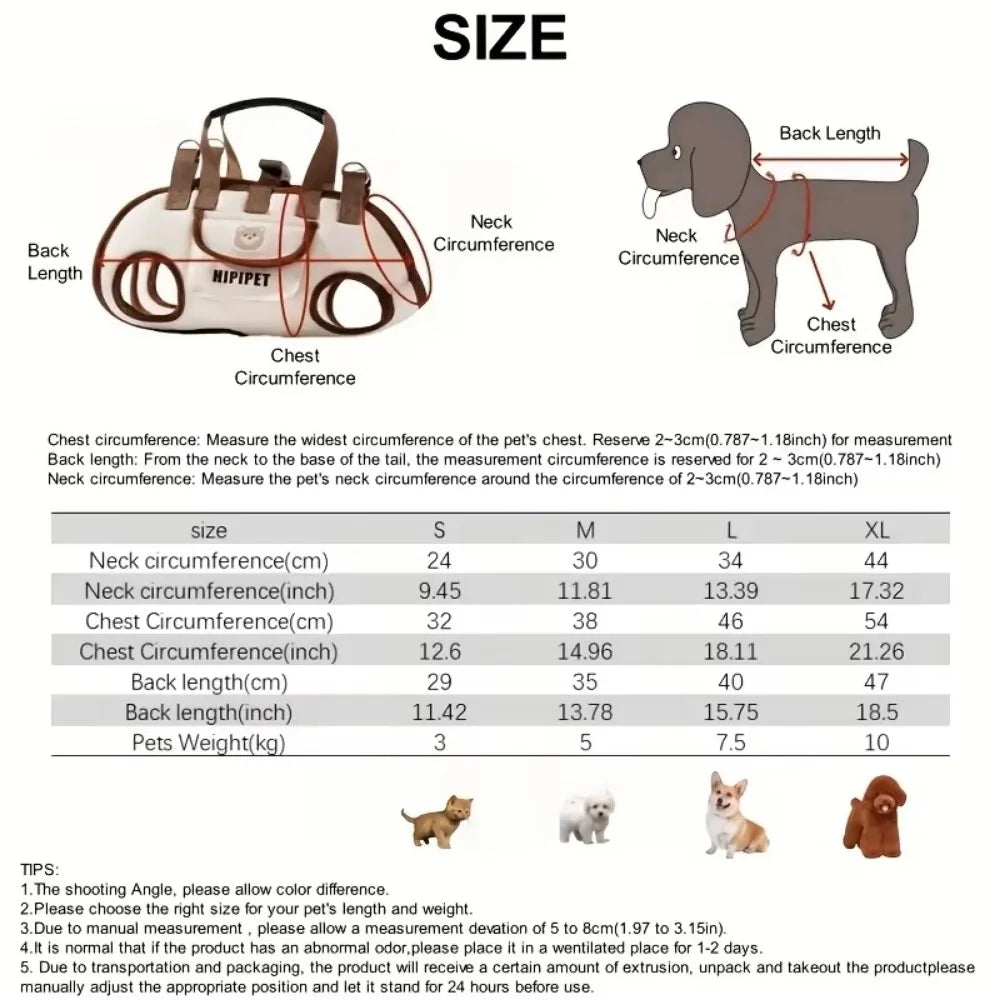 “BuddyBag Dog Backpack”