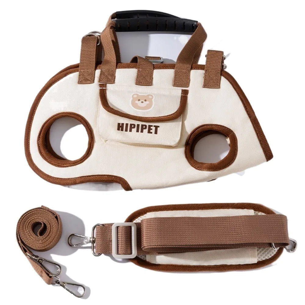 “BuddyBag Dog Backpack”