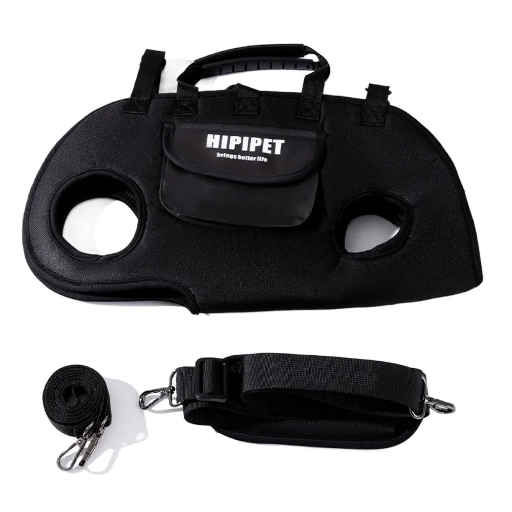 “BuddyBag Dog Backpack”